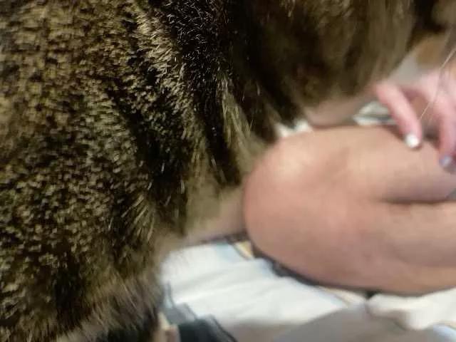 LuxuryGirlPrim from BongaCams