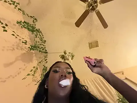 magicalc00ch — OIL BOOTY & TWERK