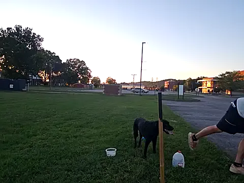 sloppytopkins — cock & balls